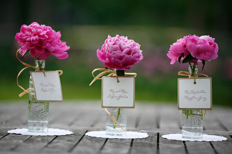 Pink Peonies in Vases — Serene, Afternoon