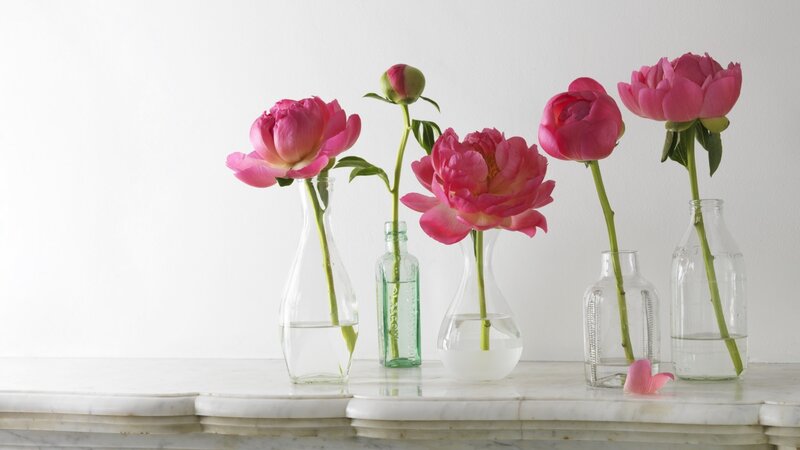 Pink Peonies in Vases — Serene, Photograph, Marble Surface, Flower Petals