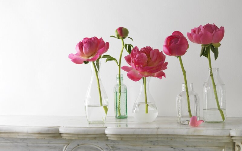 Pink Peonies in Vases — Serene, Photograph, Marble Surface