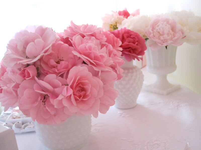 Pink Peonies in Vases — Serene