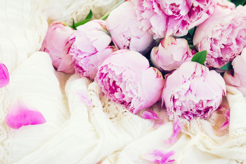 Pink Peonies on Fabric