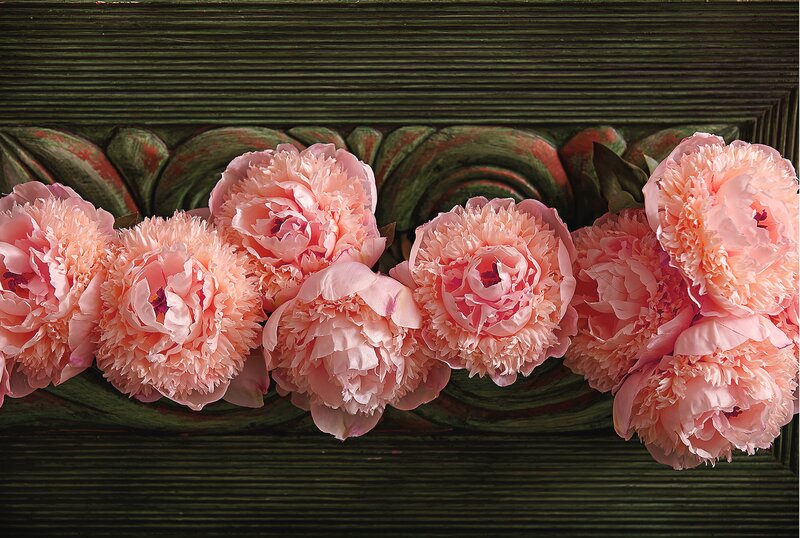 Pink Peonies on Wood — Calm