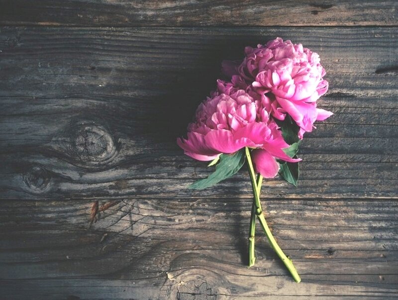 Pink Peonies on Wood