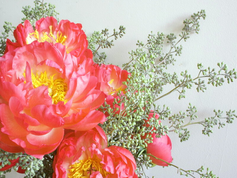 Pink Peonies with Greenery