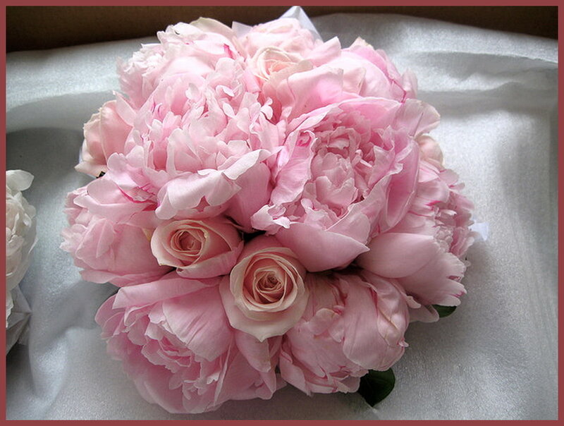 Pink Peony Bouquet — Calm, Photograph