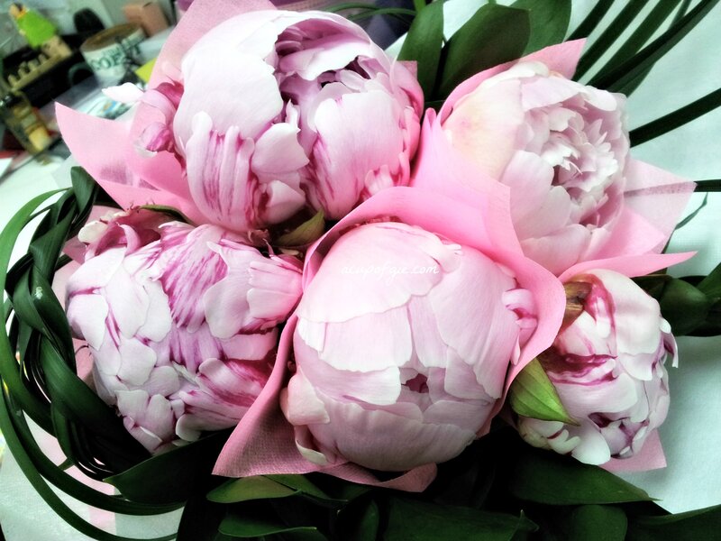 Pink Peony Bouquet — Calm