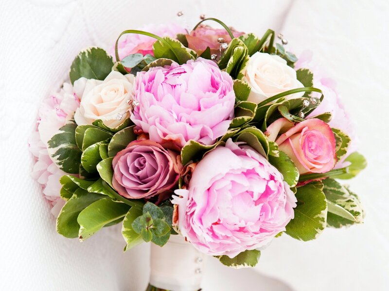 Pink Peony Bouquet — Elegant, Photograph, Roses