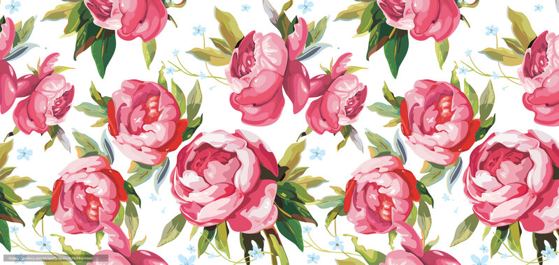 pink peony floral pattern