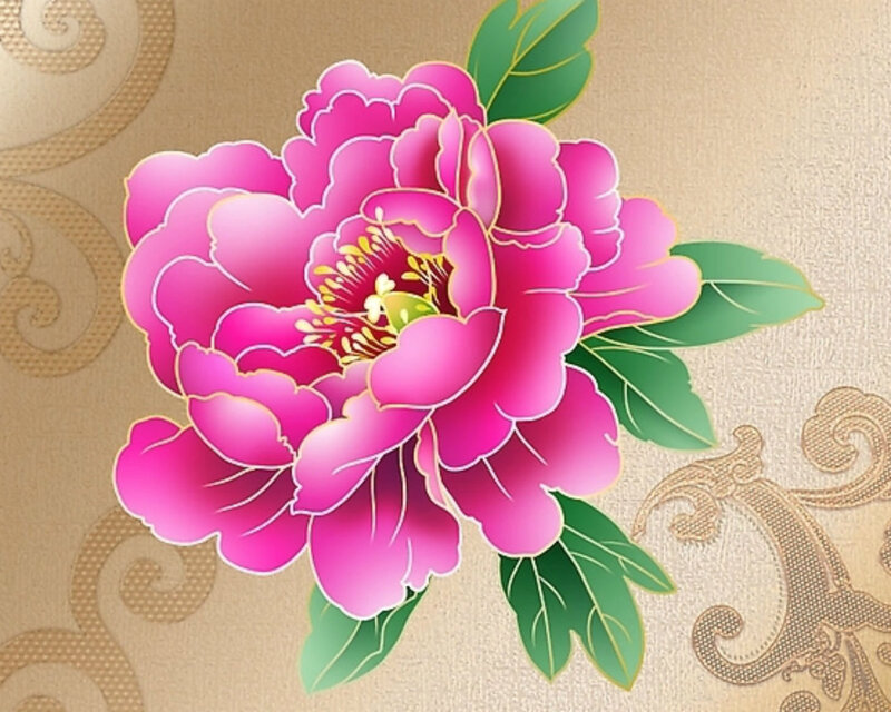 Pink Peony Flower — Calm, Illustration