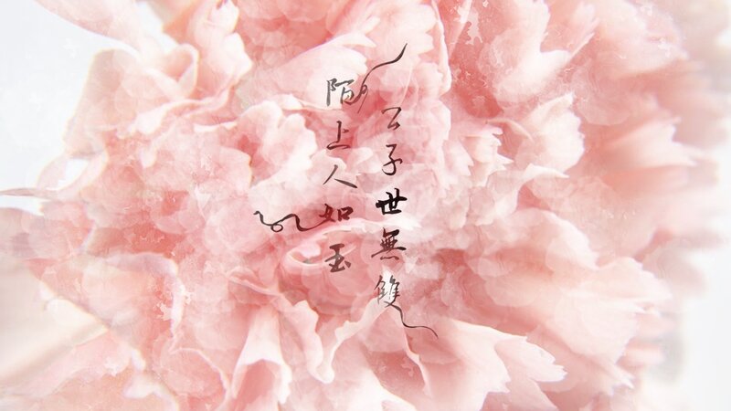 Pink Peony Flower — Serene, Illustration