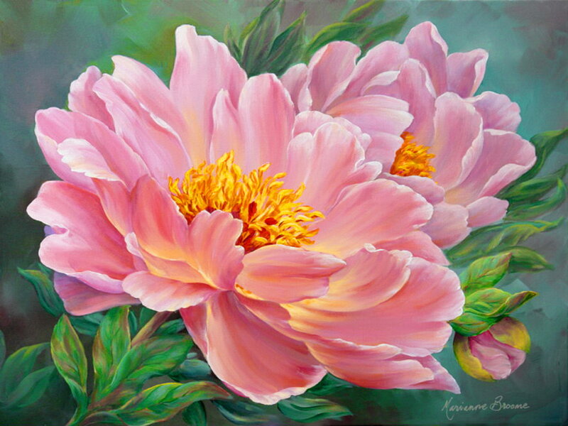 Pink Peony Flower — Serene, Painting, Yellow Center