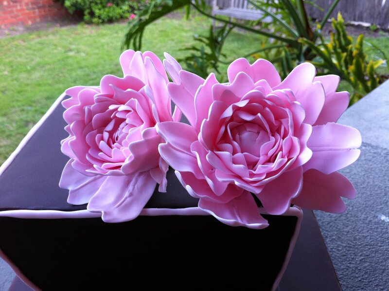 Pink Peony Flowers — Calm, Afternoon