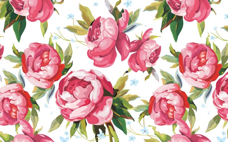 Pink Peony Flowers — Calm, Illustration