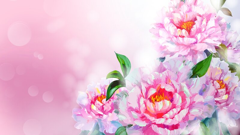 Pink Peony Flowers — Serene, Spring, Digital Art