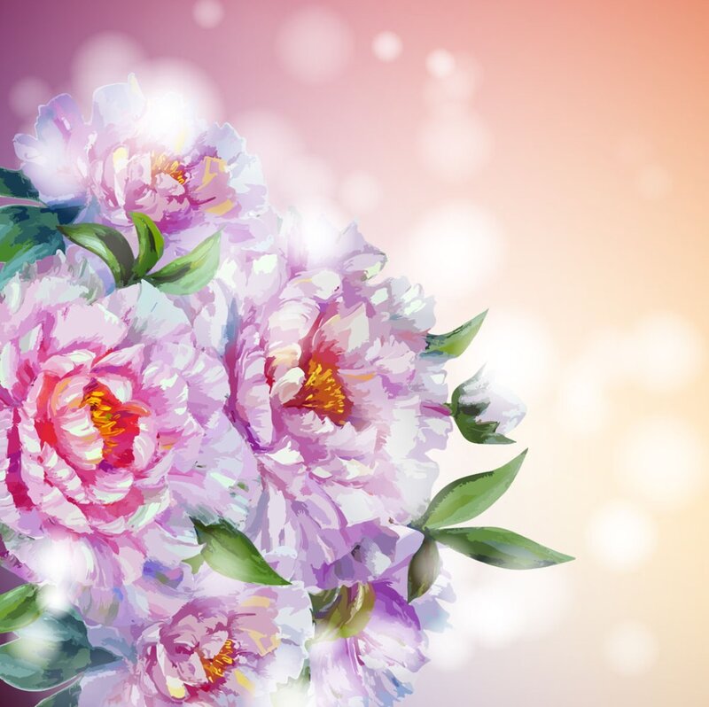 Pink Peony Flowers — Serene, Sunset