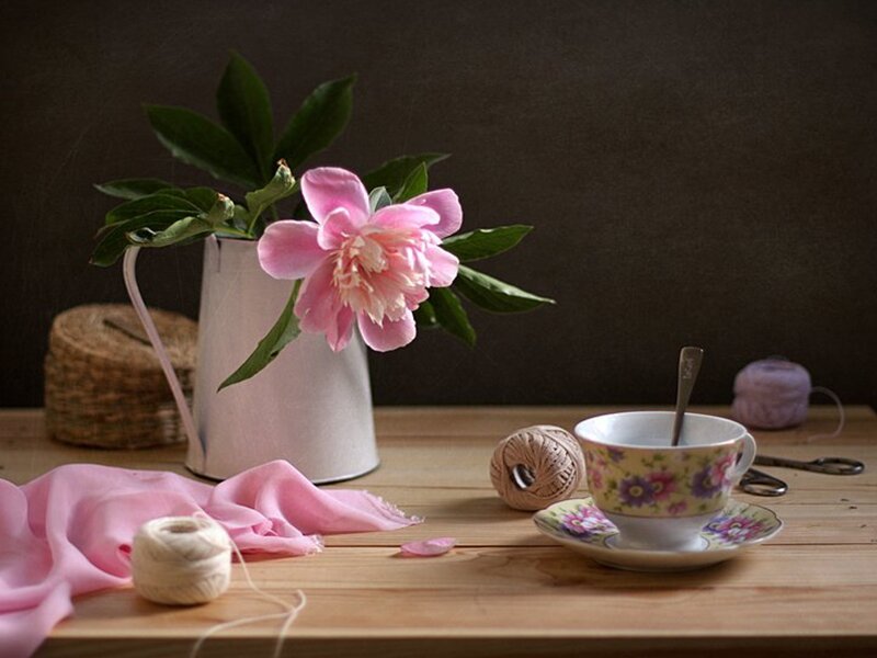 Pink Peony in Pitcher