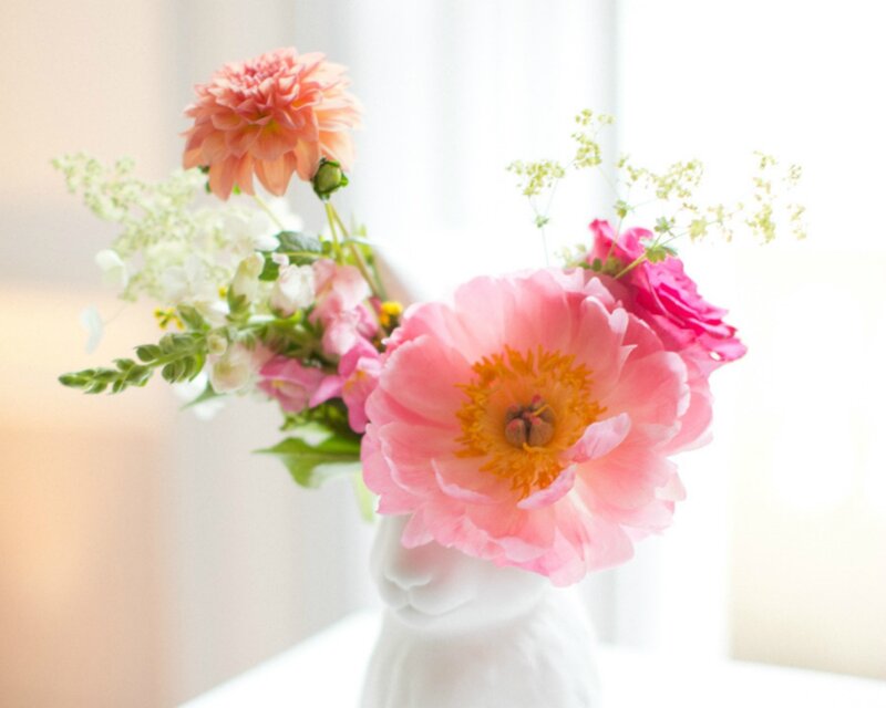 Pink Peony in Vase — Serene, Morning