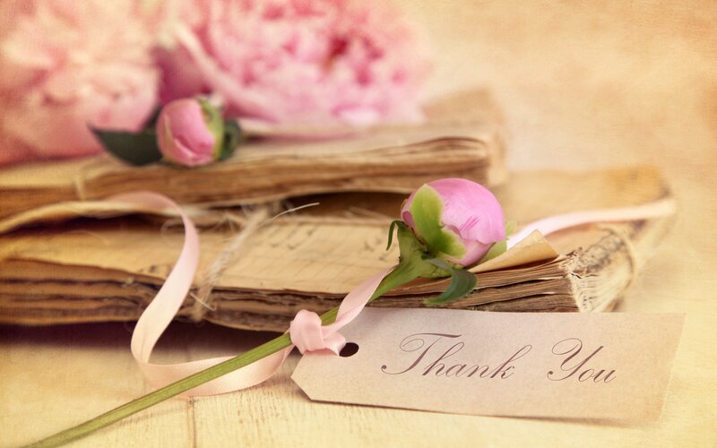 Pink Peony on Book — Serene, Photograph