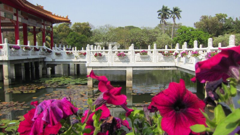 Pink Petunias and Bridge