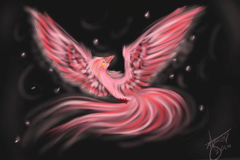 Pink Phoenix in Flight