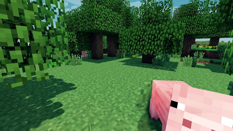 Pink Pig in Forest