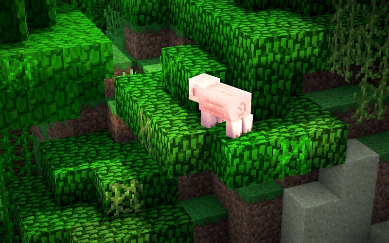 Pink Pig on Grass