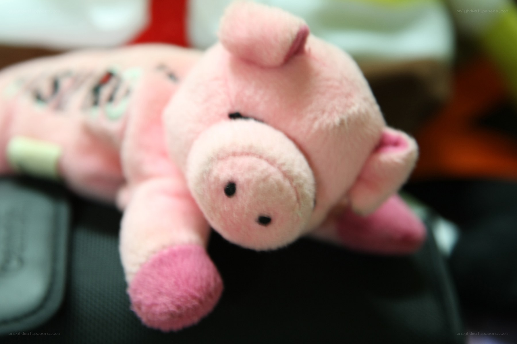 pink pig plush toy