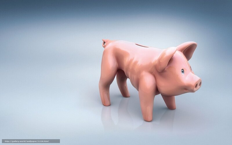 pink piggy bank