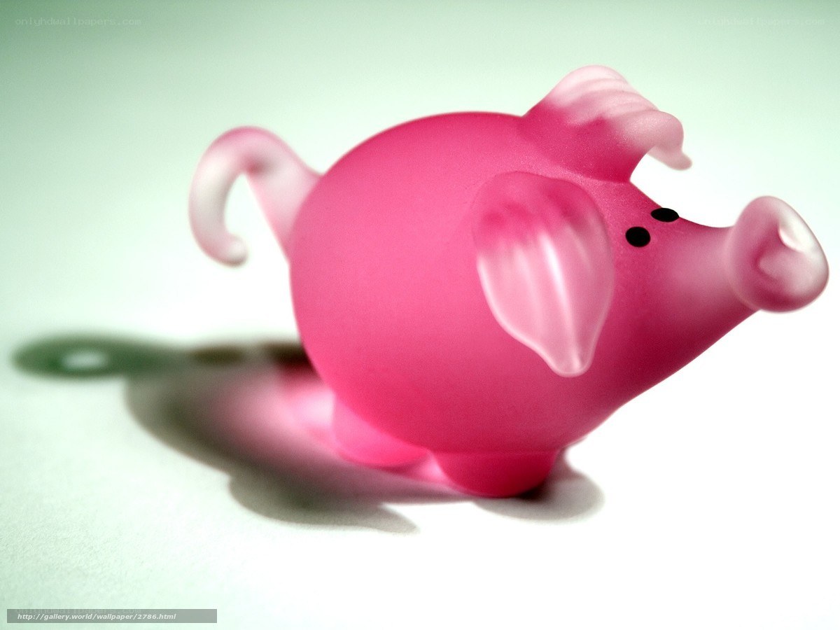 Pink piggy bank toy
