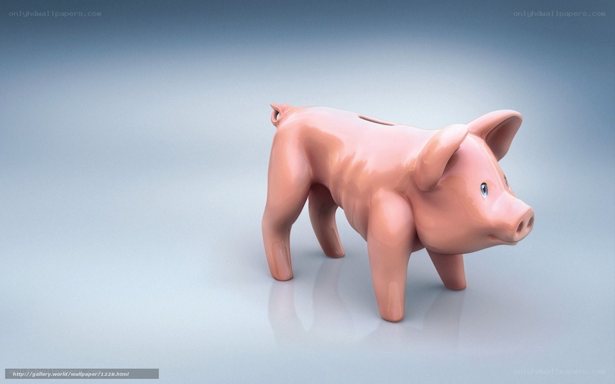 pink piggy bank