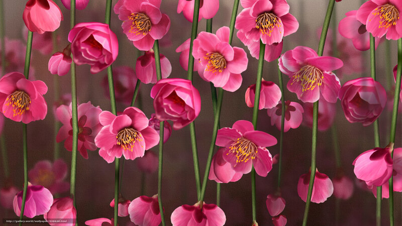 Pink Plum Blossoms — Serene, Spring, Digital Art