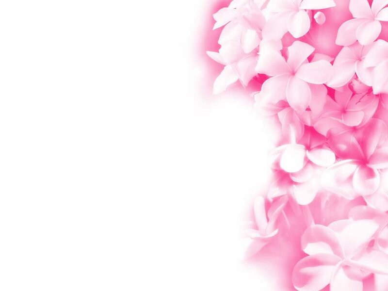 Pink Plumeria Flowers — Calm, Illustration