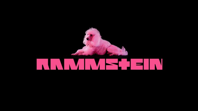 Pink Poodle Dog