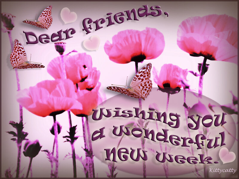 Pink Poppies and Butterflies