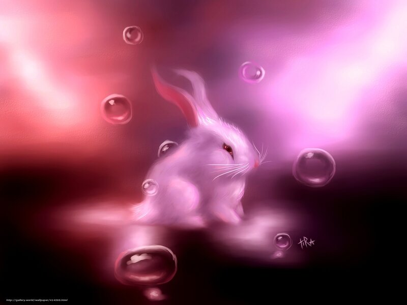 pink rabbit with bubbles