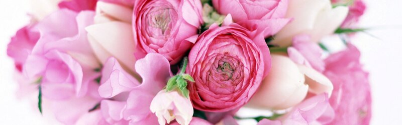 Pink Ranunculus Bouquet — Calm, Photograph