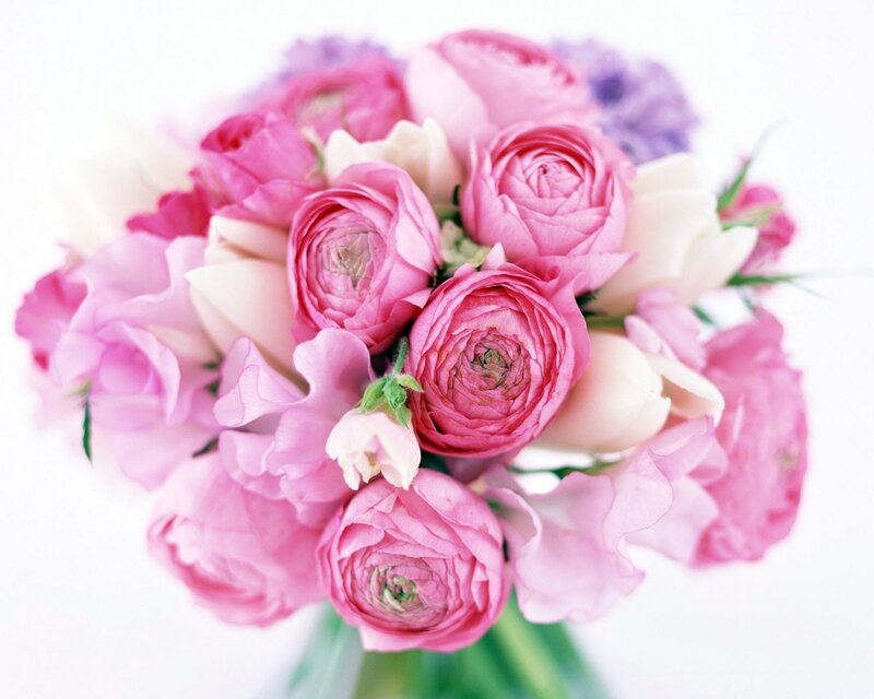 Pink Ranunculus Bouquet — Serene, Photograph, Flowers