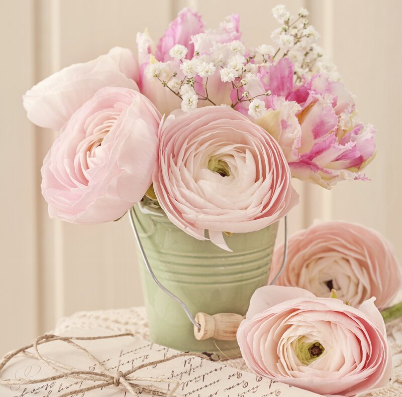 Pink Ranunculus Bouquet — Serene, Photograph