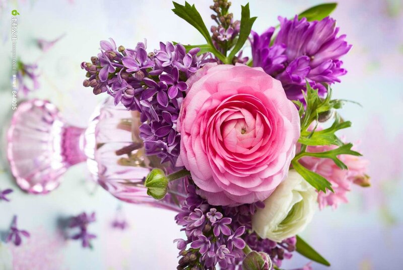 Pink Ranunculus Bouquet — Serene, Spring