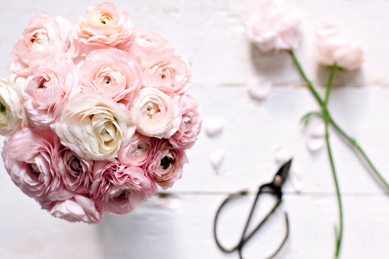 Pink Ranunculus Bouquet — Serene