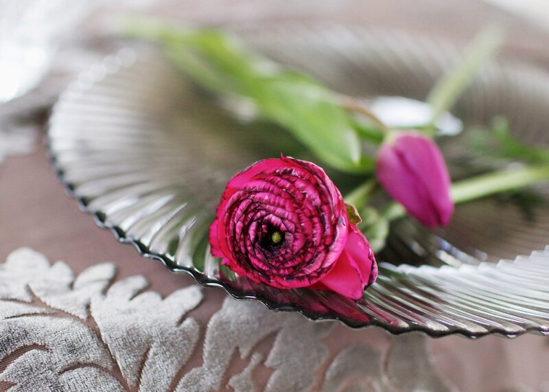 Pink Ranunculus Flower — Calm, Photograph, Plate