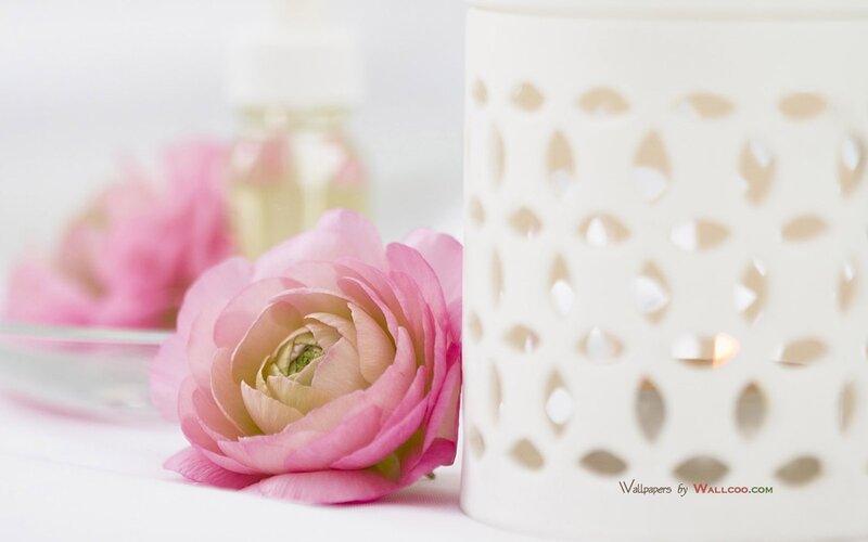 Pink Ranunculus Flower — Serene, Photograph, Candle Holder