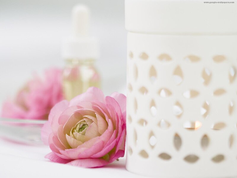 Pink Ranunculus Flower — White