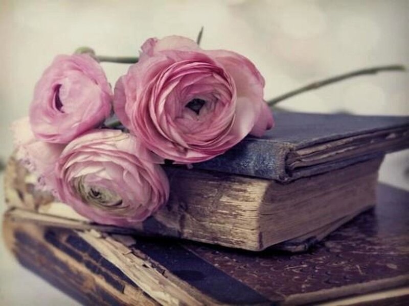 Pink Ranunculus Flowers — Calm, Photograph, Old Books