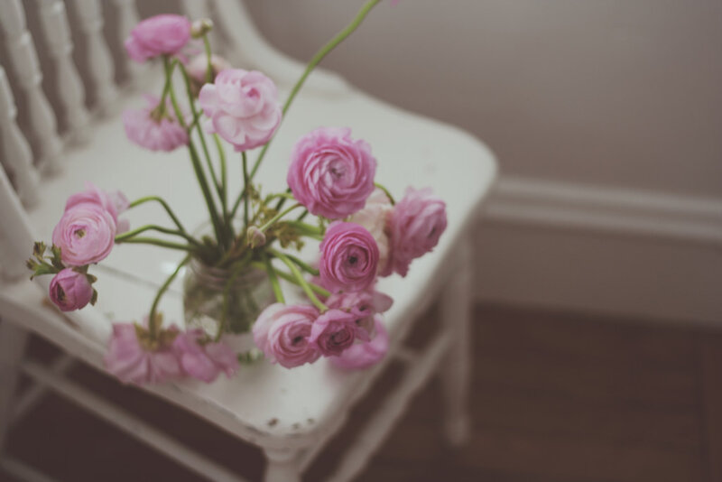 Pink Ranunculus Flowers — Calm, Photograph, Vase, Chair