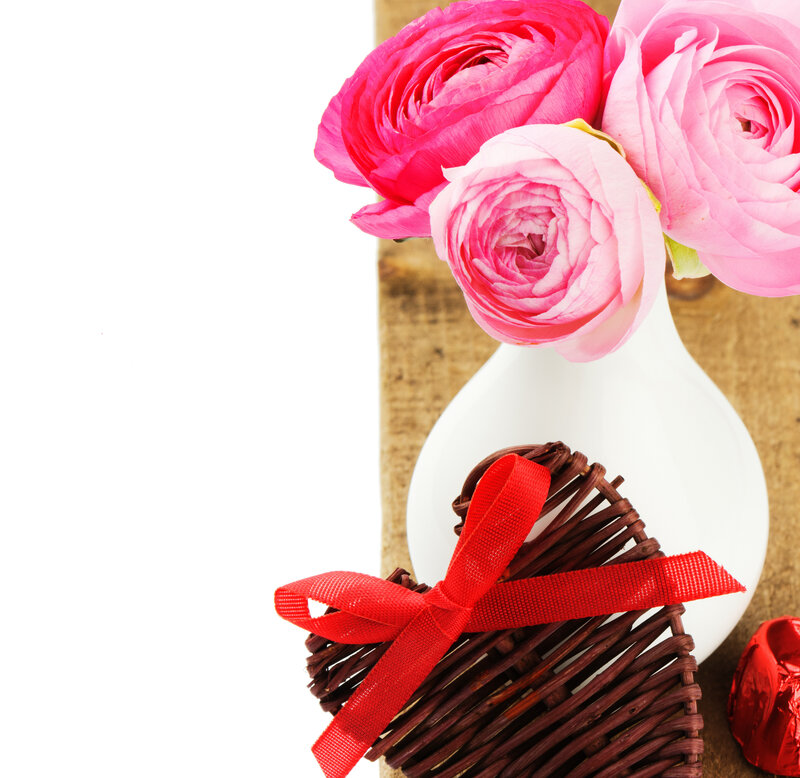 Pink Ranunculus Flowers — Romantic