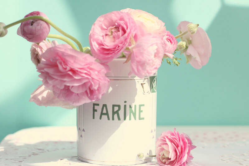 Pink Ranunculus Flowers — Serene, Afternoon