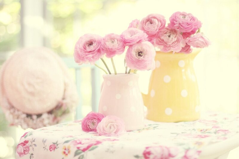 Pink Ranunculus Flowers — Serene, Morning, Photograph, Vases