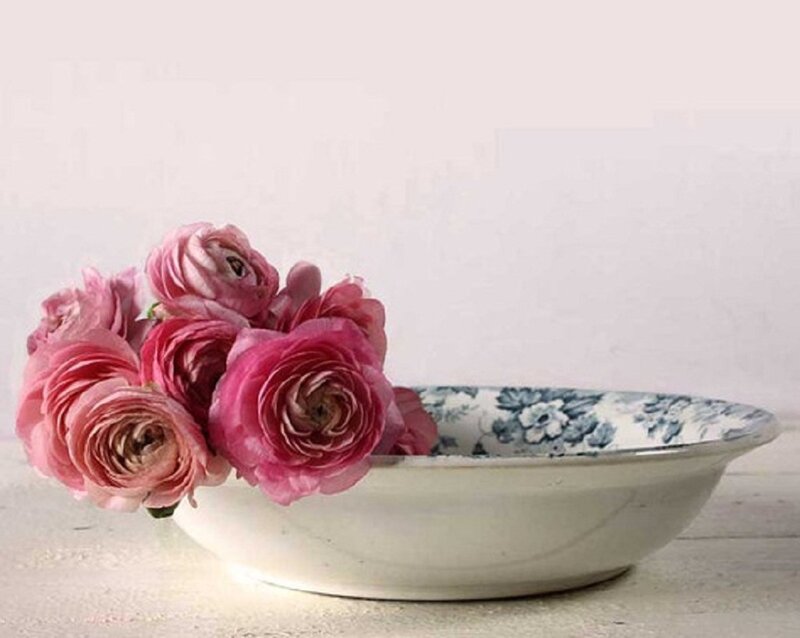 Pink Ranunculus Flowers — Serene, Photograph, Bowl