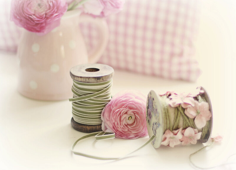 Pink Ranunculus Flowers — Serene, Photograph